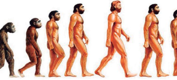 Re – Evolución